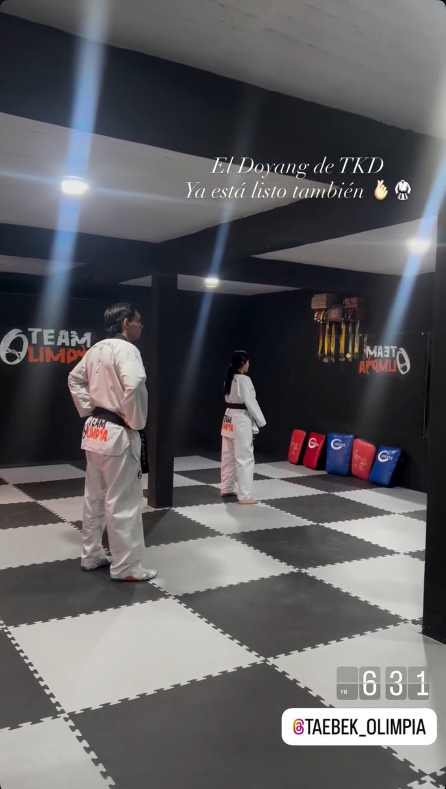 Taekwondo